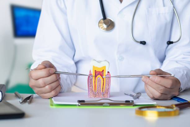 Best Root Canal Emergency Dentist  in Mamou, LA